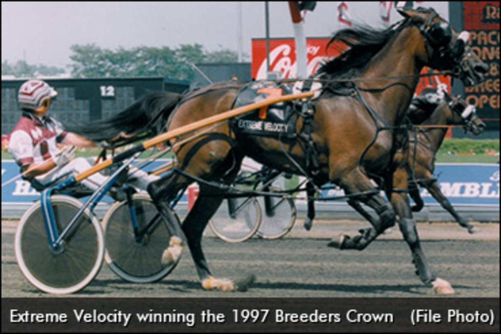 Extreme-Velocity-Breeders-Crown-Mare-Pace-370.jpg