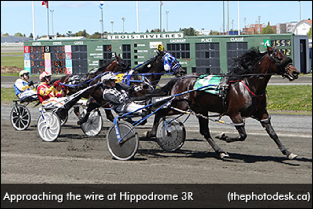 Hippodrome-3R-harness-racing-370px.jpg