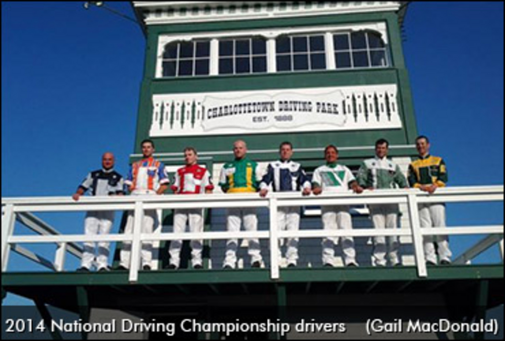 NDC-Drivers-2014.jpg