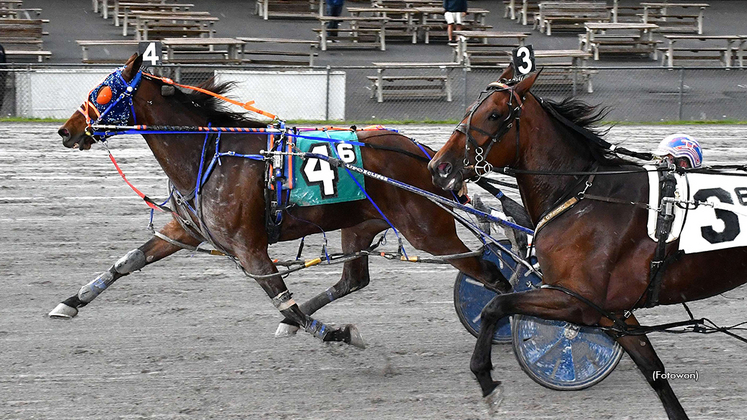 Fear Her Touch winning at Vernon Downs