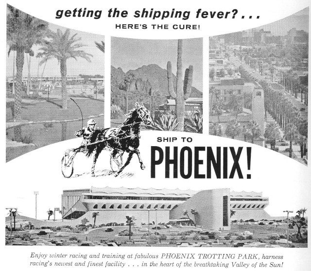 Phoenix Trotting Park ad