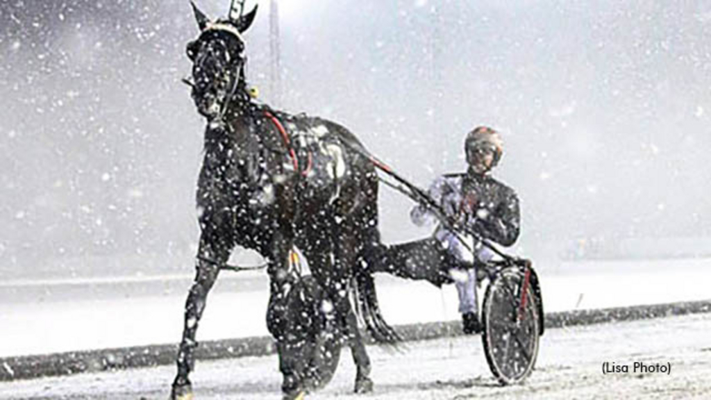 A snowy scene at Meadowlands Racetrack