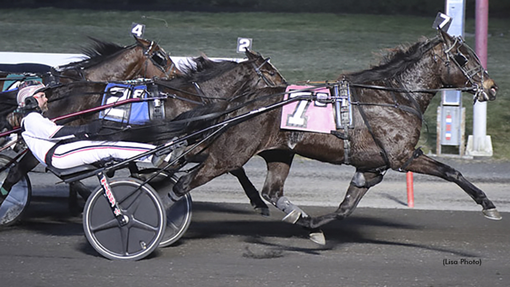 Crazy Fool winning at The Meadowlands