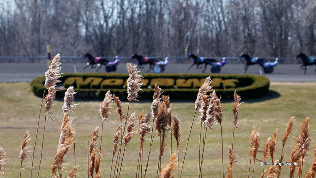 Horses qualifying in the spring at Woodbine Mohawk Park