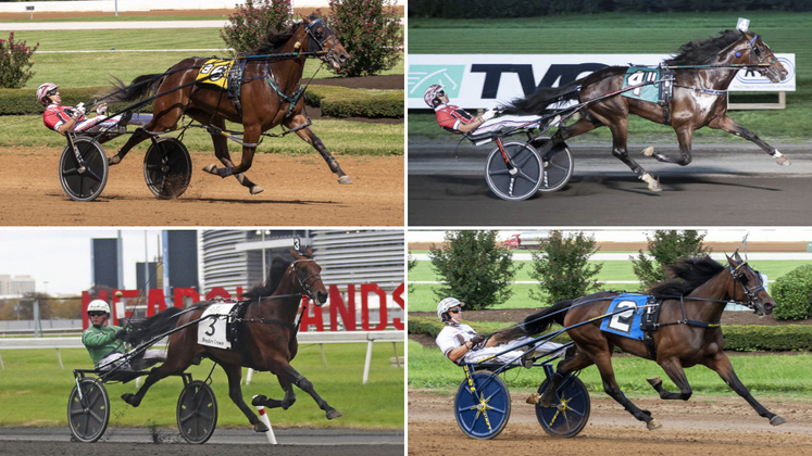 Boudoir Hanover, Fast As The Wind, Ecurie D, and Joviality S
