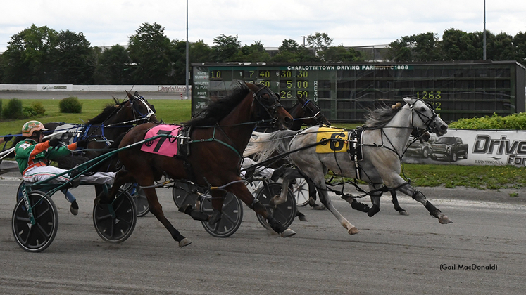 First Glance winning at Charlottetown Driving Park