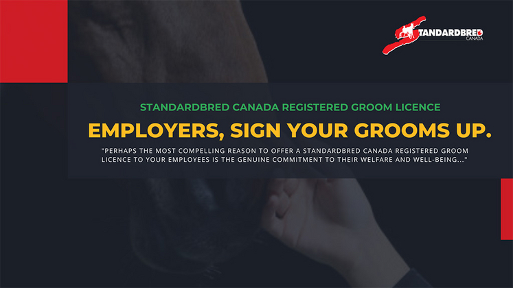 Employers, sign your grooms up for a Standardbred Canada Groom Licence