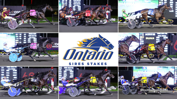 2023 Ontario Sires Stakes Grassroots finals winners